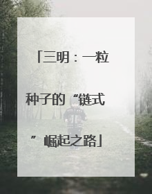 三明：一粒种子的“链式”崛起之路