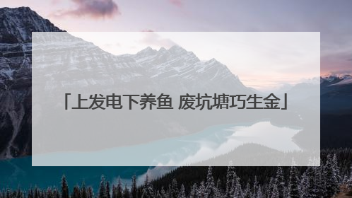 上发电下养鱼 废坑塘巧生金