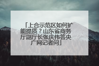 上合示范区如何扩能提质？山东省商务厅副厅长张庆伟答央广网记者问