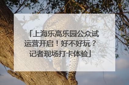 上海乐高乐园公众试运营开启！好不好玩？记者现场打卡体验