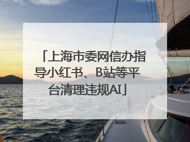 上海市委网信办指导小红书、B站等平台清理违规AI