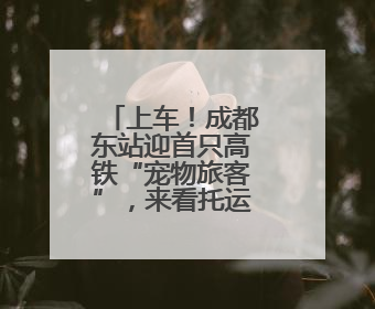 上车！成都东站迎首只高铁“宠物旅客”，来看托运全流程→