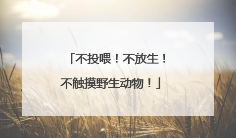 不投喂！不放生！不触摸野生动物！