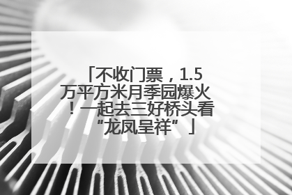 不收门票，1.5万平方米月季园爆火！一起去三好桥头看“龙凤呈祥”