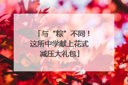 与“粽”不同！这所中学献上花式减压大礼包