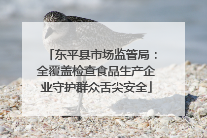 东平县市场监管局：全覆盖检查食品生产企业守护群众舌尖安全