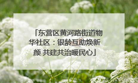 东营区黄河路街道物华社区：银龄互助焕新颜 共建共治暖民心