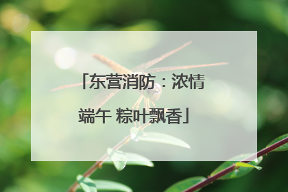 东营消防：浓情端午 粽叶飘香