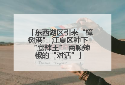 东西湖区引来“樟树港” 江夏区种下“襄辣王” 两颗辣椒的“对话”
