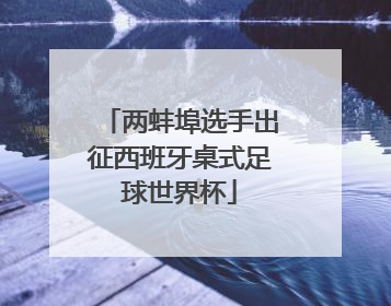两蚌埠选手出征西班牙桌式足球世界杯