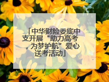 中华财险娄底中支开展“助力高考，为梦护航”爱心送考活动