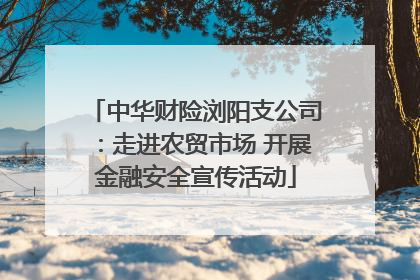 中华财险浏阳支公司：走进农贸市场 开展金融安全宣传活动