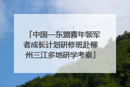 中国—东盟青年领军者成长计划研修班赴柳州三江多地研学考察