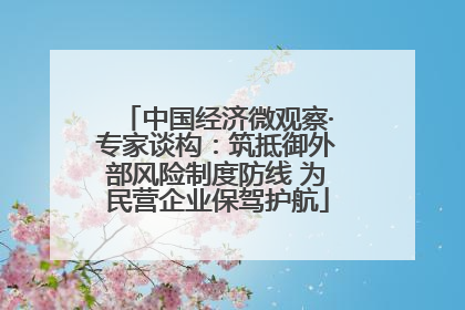 中国经济微观察·专家谈构：筑抵御外部风险制度防线 为民营企业保驾护航