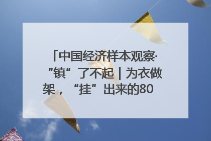 中国经济样本观察·“镇”了不起｜为衣做架，“挂”出来的80亿元“衣架产业”