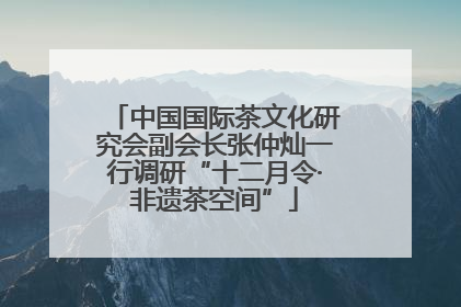 中国国际茶文化研究会副会长张仲灿一行调研“十二月令·非遗茶空间”
