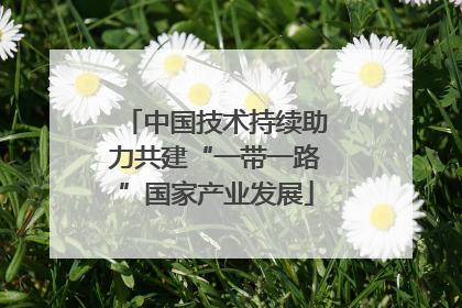 中国技术持续助力共建“一带一路”国家产业发展