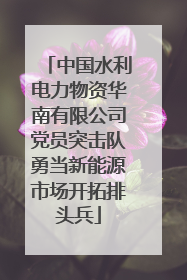 中国水利电力物资华南有限公司党员突击队勇当新能源市场开拓排头兵