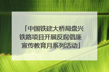 中国铁建大桥局盘兴铁路项目开展反腐倡廉宣传教育月系列活动