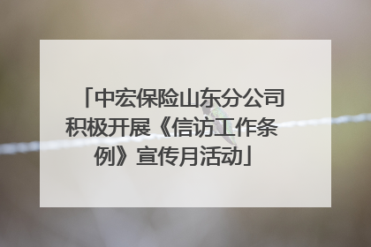 中宏保险山东分公司积极开展《信访工作条例》宣传月活动