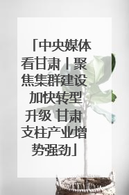 中央媒体看甘肃丨聚焦集群建设 加快转型升级 甘肃支柱产业增势强劲