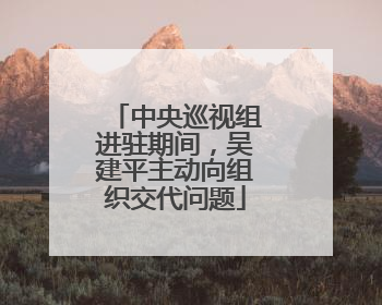 中央巡视组进驻期间，吴建平主动向组织交代问题