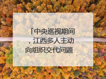 中央巡视期间，江西多人主动向组织交代问题｜打虎拍蝇