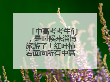 中高考考生们，是时候来淄博旅游了！红叶柿岩面向所有中高考考生免门票