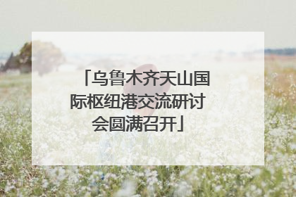 乌鲁木齐天山国际枢纽港交流研讨会圆满召开