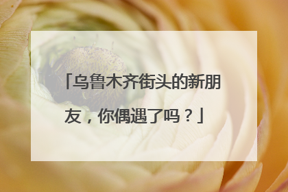 乌鲁木齐街头的新朋友，你偶遇了吗？