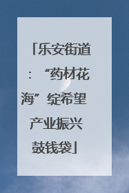 乐安街道：“药材花海”绽希望 产业振兴鼓钱袋