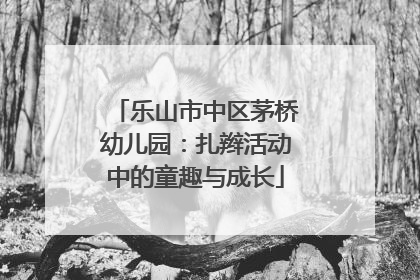 乐山市中区茅桥幼儿园：扎辫活动中的童趣与成长