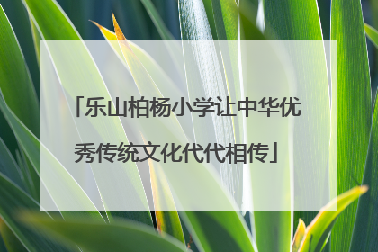 乐山柏杨小学让中华优秀传统文化代代相传