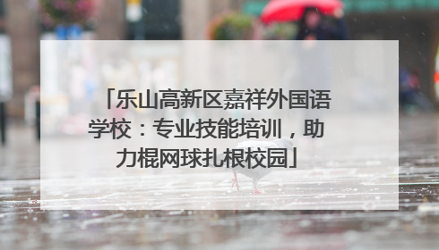 乐山高新区嘉祥外国语学校：专业技能培训，助力棍网球扎根校园