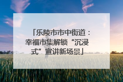 乐陵市市中街道：幸福市集解锁“沉浸式”宣讲新场景