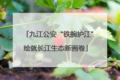 九江公安“铁腕护江”绘就长江生态新画卷