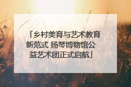 乡村美育与艺术教育新范式 扬琴博物馆公益艺术团正式启航