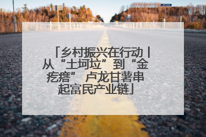 乡村振兴在行动丨从“土坷垃”到“金疙瘩” 卢龙甘薯串起富民产业链