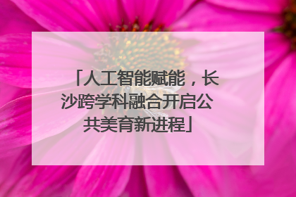人工智能赋能，长沙跨学科融合开启公共美育新进程