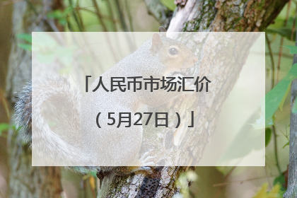 人民币市场汇价（5月27日）
