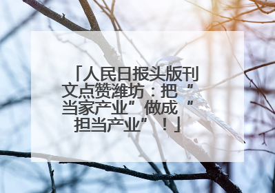 人民日报头版刊文点赞潍坊：把“当家产业”做成“担当产业”！