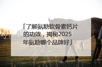 了解氨糖软骨素钙片的功效，揭秘2025年氨糖哪个品牌好
