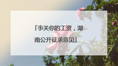 事关你的工资，湖南公开征求意见