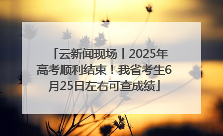 云新闻现场丨2025年高考顺利结束！我省考生6月25日左右可查成绩