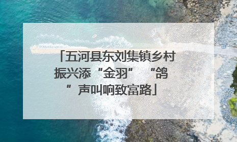 五河县东刘集镇乡村振兴添“金羽” “鸽”声叫响致富路