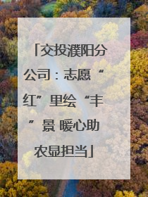 交投濮阳分公司：志愿“红”里绘“丰”景 暖心助农显担当