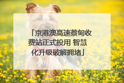 京港澳高速蔡甸收费站正式投用 智慧化升级破解拥堵
