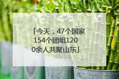 今天，47个国家154个团组1200余人共聚山东