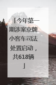 今年第一期涉案京牌小客车司法处置启动，共618辆