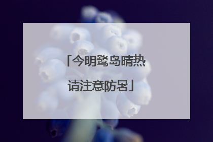 今明鹭岛晴热 请注意防暑